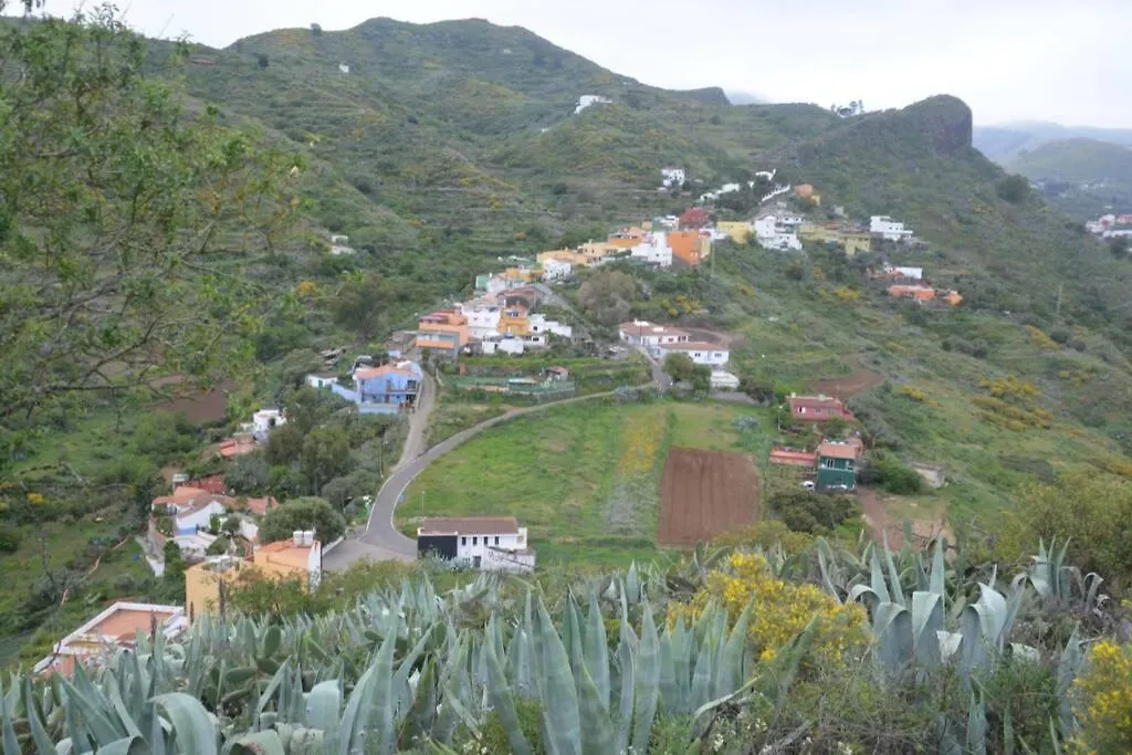Suvan, La Casa De La Felicidad Vega de San Mateo Holiday home